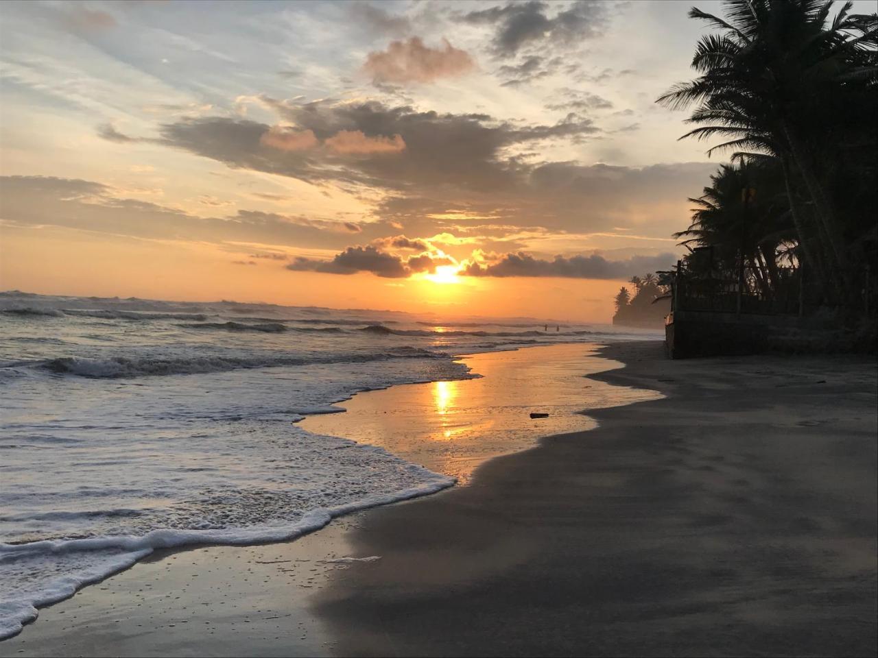 آهانغاما Solas Surf المظهر الخارجي الصورة